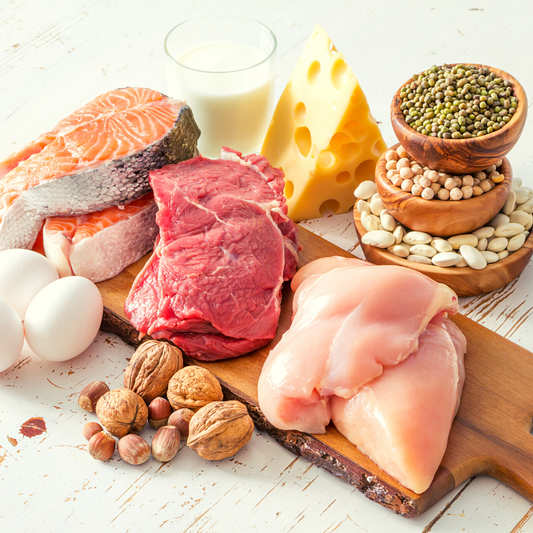 Why Protein Is Important